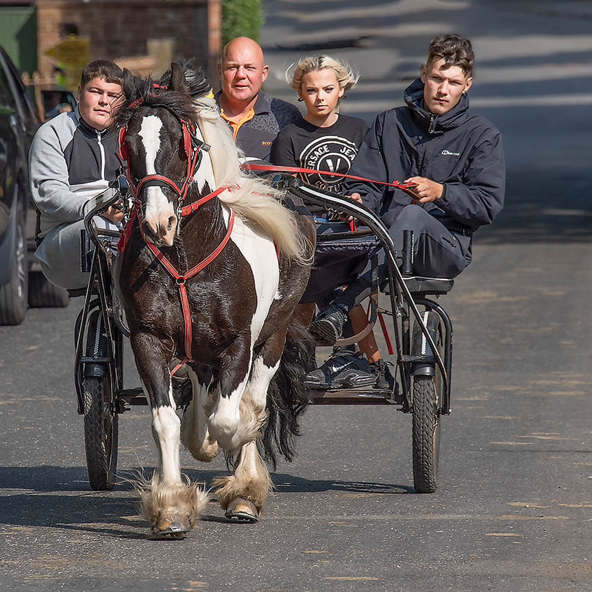 A family of four riding in a horse-drawn carriage on a sunny day, with a brown and white horse trotting on an asphalt road.