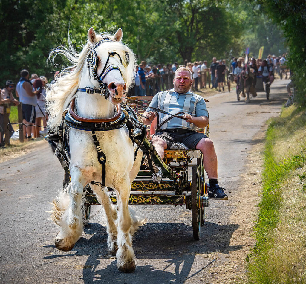 A robust man driving a striking white horse pulling a traditional cart down a dusty lane, flanked by onlookers at the Appleby Horse Fair.