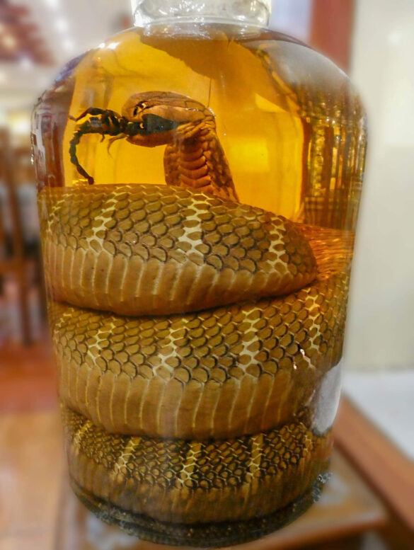 A large snake preserved in a bottle from a market in Saigon