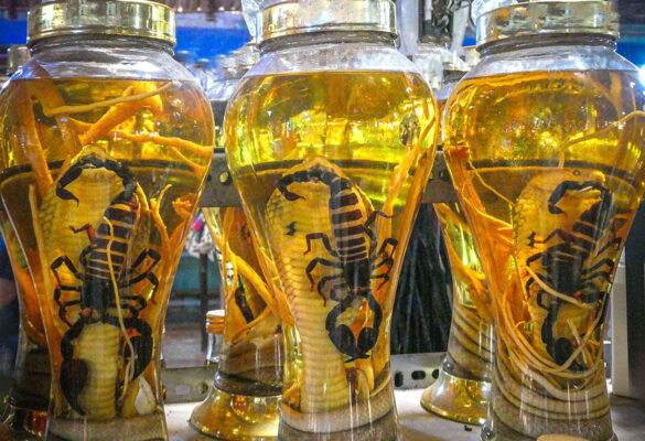 Bottles containing scorpions and other ingredients at a Saigon market.