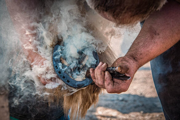 Farrier working with a horse's hoof, creating smoke at Appleby Horse Fair.