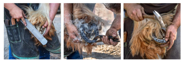 A triptych showing a farrier filing, shoeing, and hammering a horse's hoof.