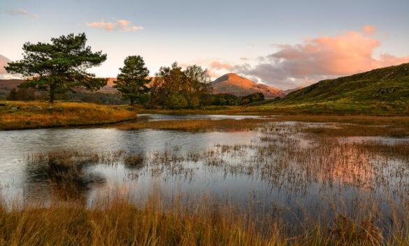 Serene tarn with surrounding trees and hills reflecting in the water at sunset.